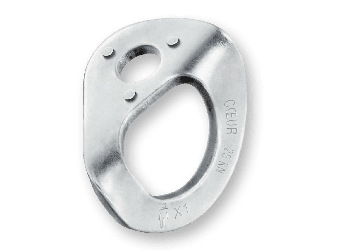 Petzl 20 Coeur Bolt Stainles (20 stuks)